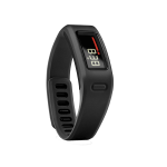 Phasellus varius turpis